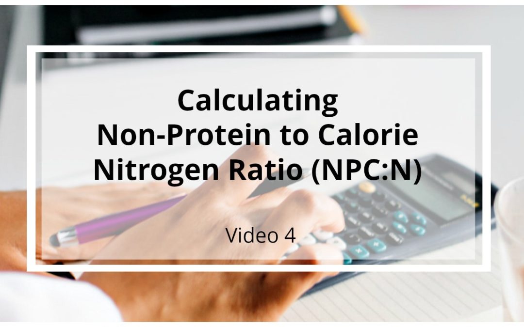 VIDEO 4: Calculating Non-Protein Calorie to Nitrogen Ratio (NPC:N)